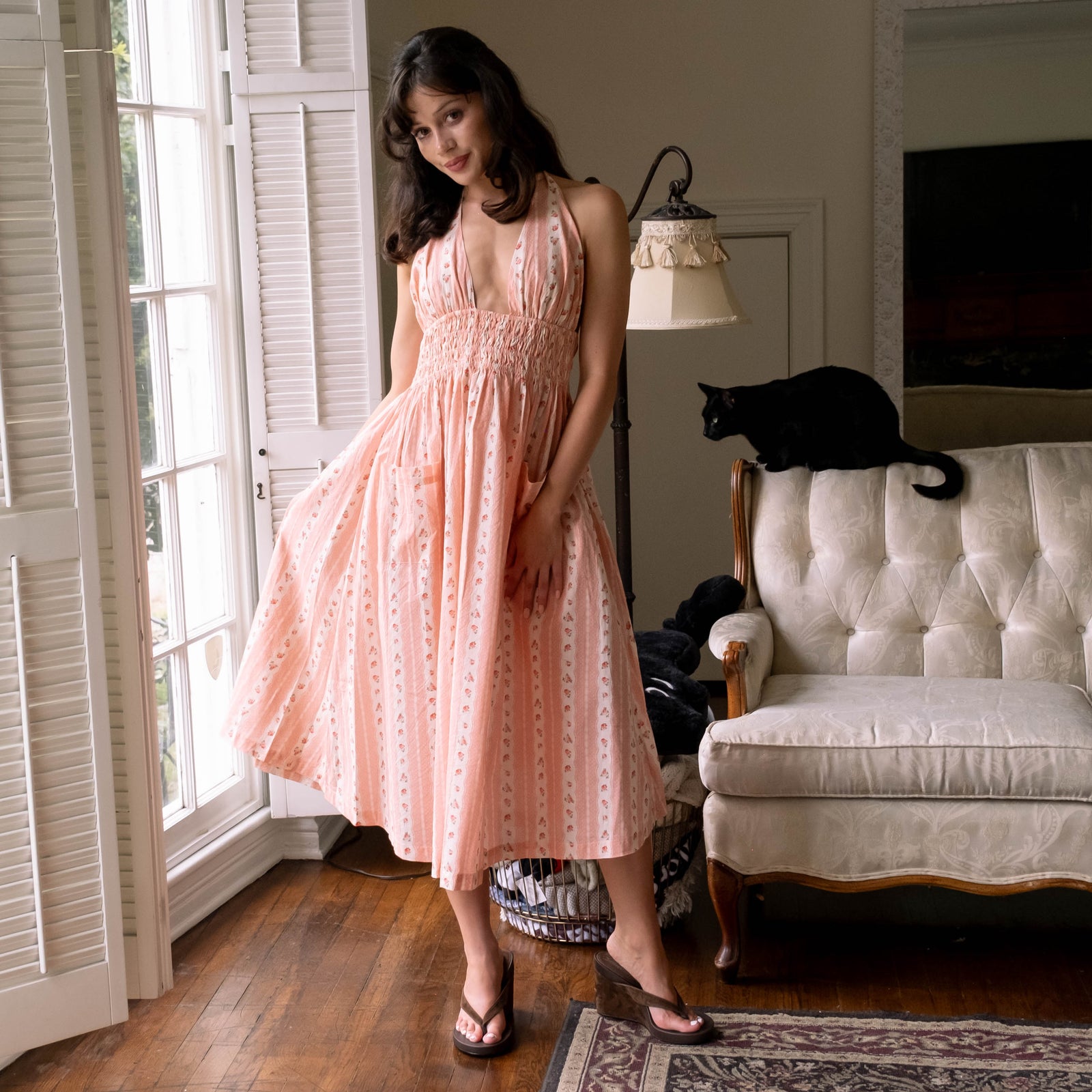 Shop All - Kitteny