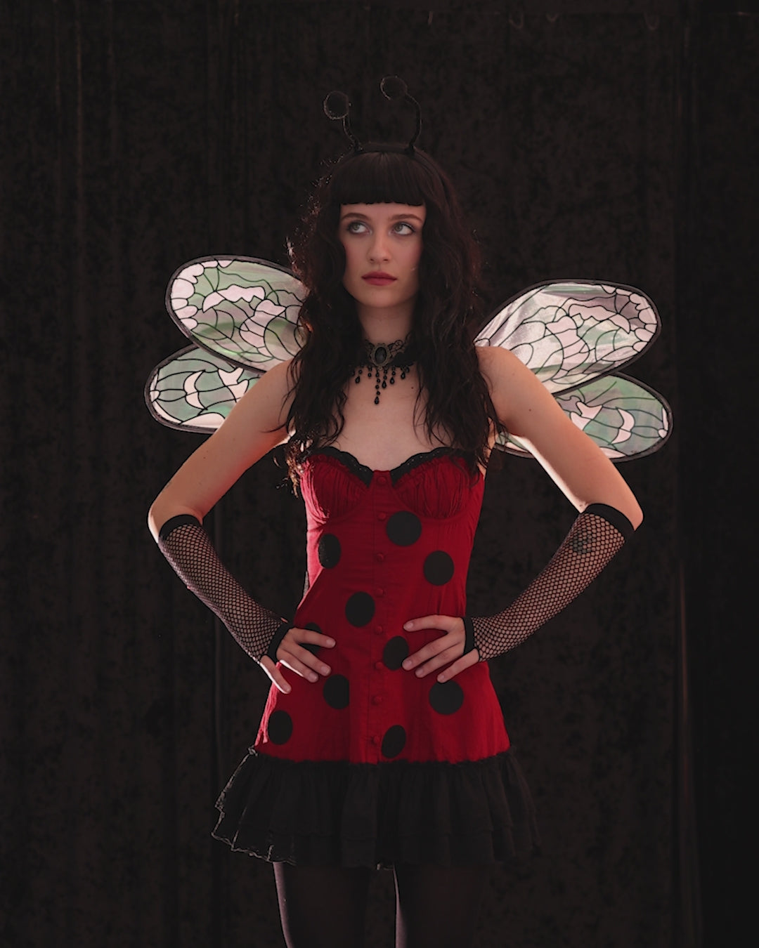 Ladybug costume